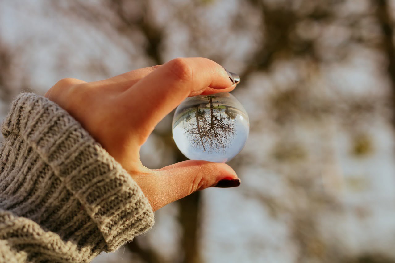 hand-plant-wood-organism-gesture-finger-1684572-pxhere.com